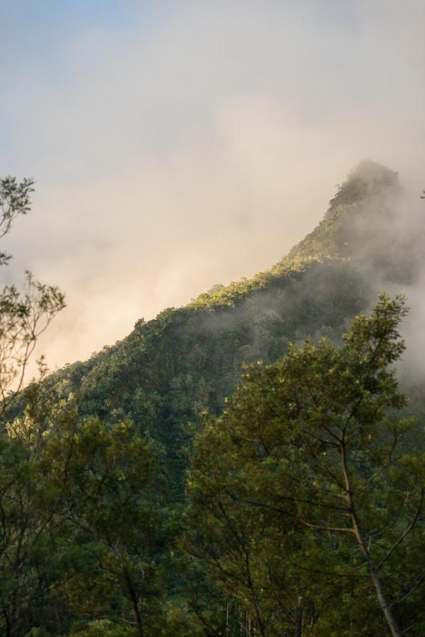 Olatika - Gite Des Cascades Cilaos Exteriér fotografie