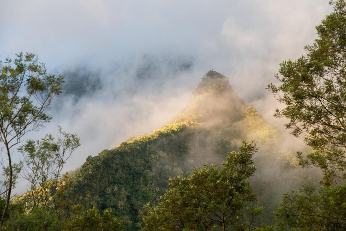 Olatika - Gite Des Cascades Cilaos Exteriér fotografie